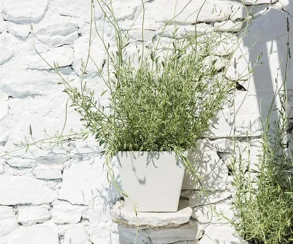 Syros Village Vari (Syros)